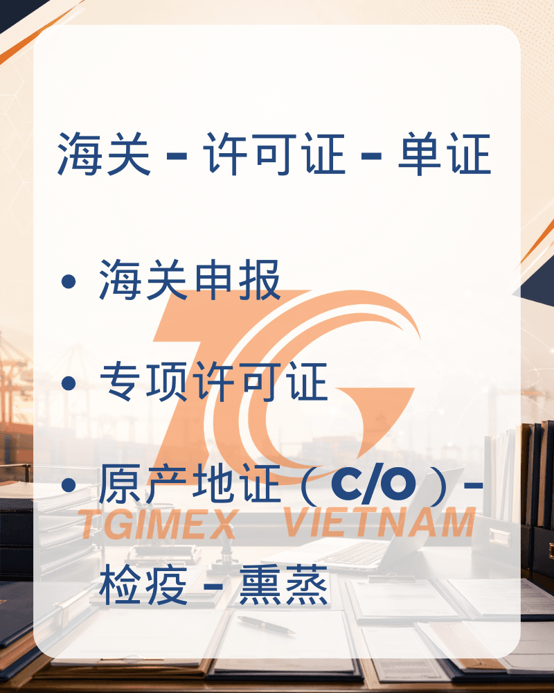 顶部横幅 2